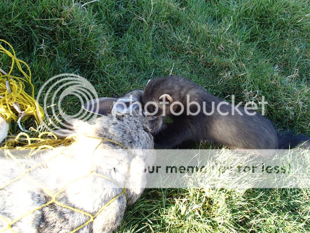 006-25.jpg