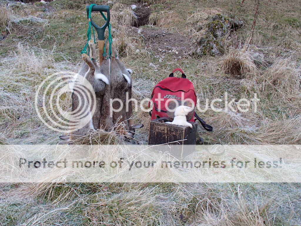 009-25.jpg