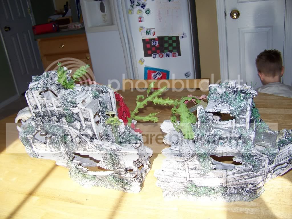 Tank Decorations Sunken� Ship &amp; Skull Carolina Fish Talk