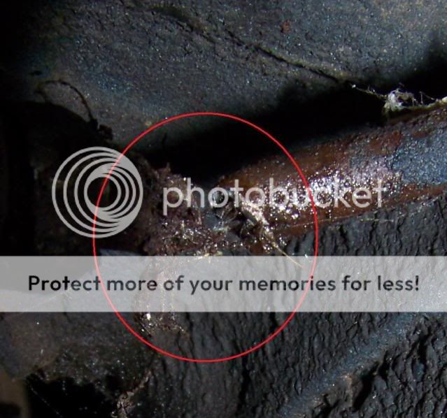 Broken Metal Brake Line Photo by statmasterack Photobucket