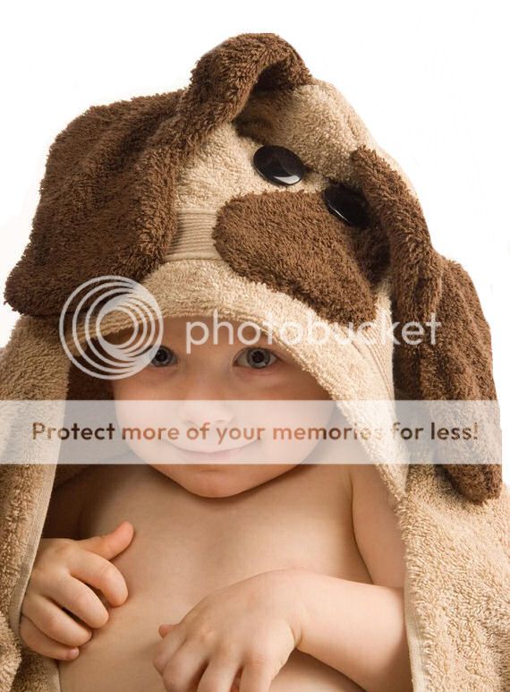 Personalized Dog Hooded Towel