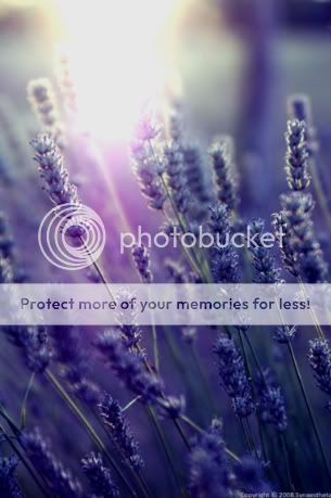 [Image: 130387977617170658_574_574.jpg]