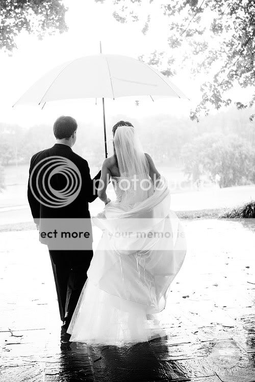 rain Pictures, Images and Photos